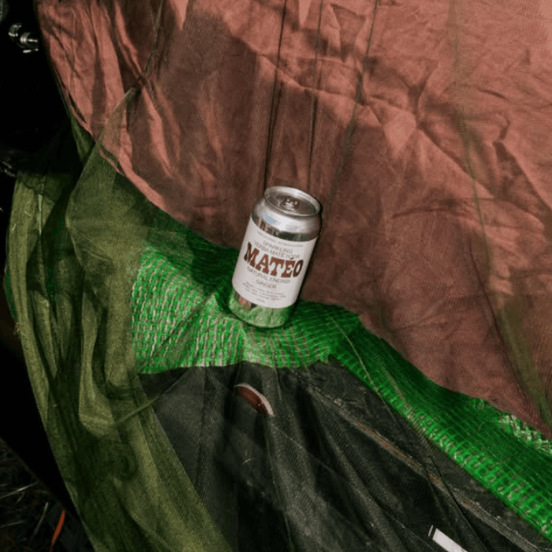 Load image into Gallery viewer, Matéo Sparkling Yerba Maté Soda (Cans)
